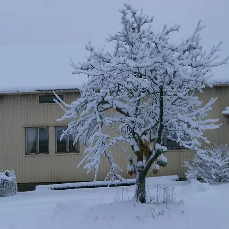 Valimaki Farm Hostel *